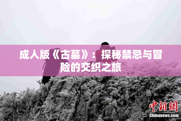 成人版《古墓》：探秘禁忌与冒险的交织之旅