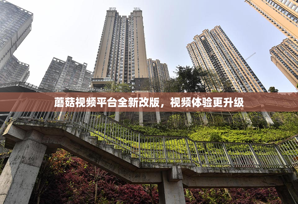 蘑菇视频平台全新改版，视频体验更升级