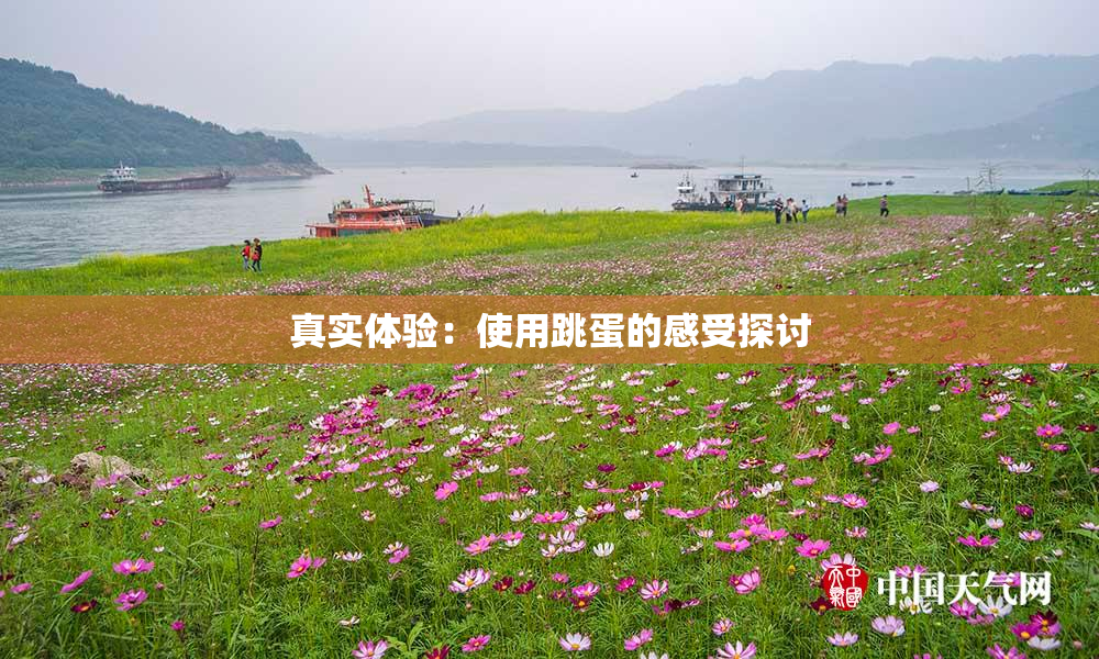 真实体验：使用跳蛋的感受探讨
