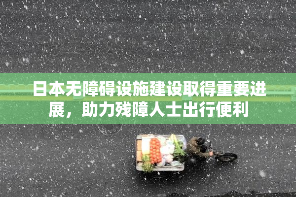 日本无障碍设施建设取得重要进展，助力残障人士出行便利