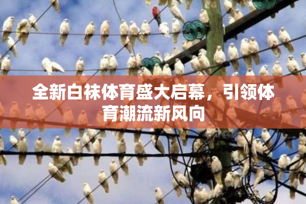 全新白袜体育盛大启幕，引领体育潮流新风向