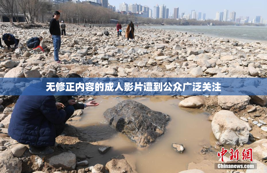 无修正内容的成人影片遭到公众广泛关注