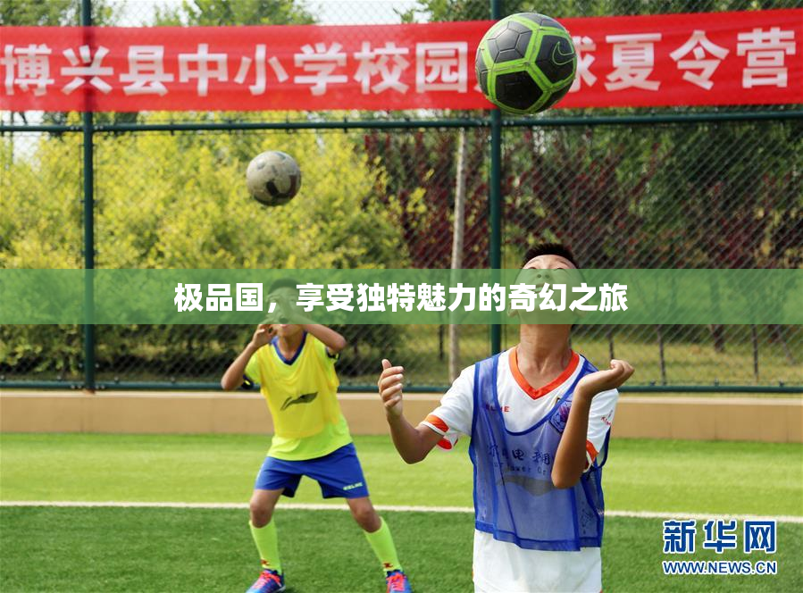 极品国，享受独特魅力的奇幻之旅