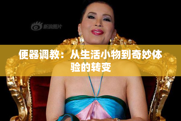 便器调教：从生活小物到奇妙体验的转变
