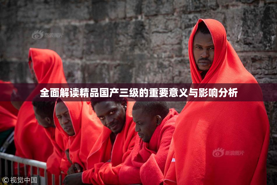 全面解读精品国产三级的重要意义与影响分析