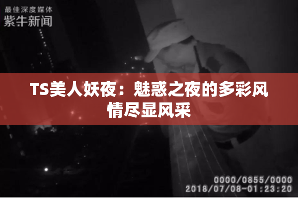 TS美人妖夜：魅惑之夜的多彩风情尽显风采