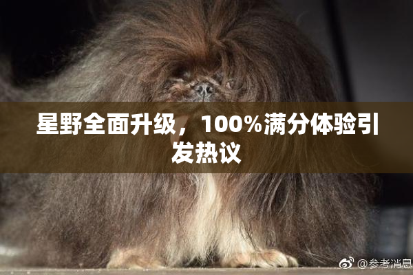 星野全面升级，100%满分体验引发热议