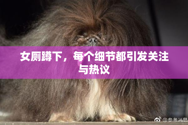 女厕蹲下，每个细节都引发关注与热议
