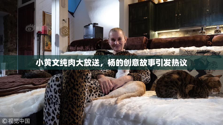 小黄文纯肉大放送，杨的创意故事引发热议