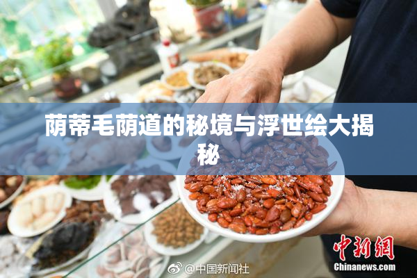 荫蒂毛荫道的秘境与浮世绘大揭秘