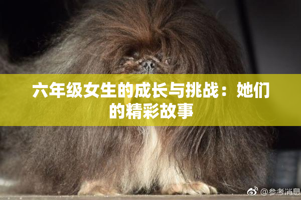 六年级女生的成长与挑战：她们的精彩故事