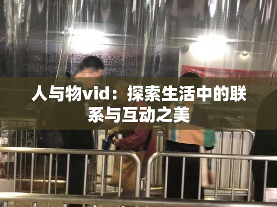 人与物vid：探索生活中的联系与互动之美