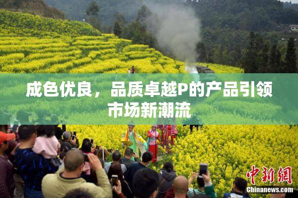 成色优良，品质卓越P的产品引领市场新潮流