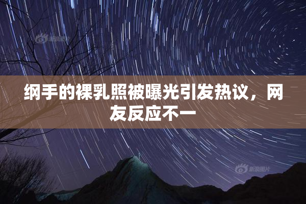 纲手的裸乳照被曝光引发热议，网友反应不一