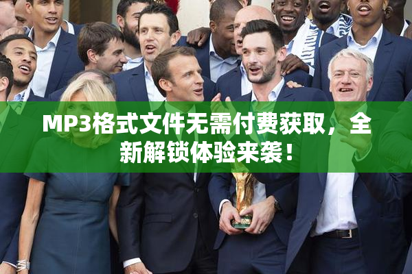 MP3格式文件无需付费获取，全新解锁体验来袭！