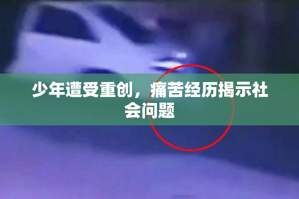 少年遭受重创，痛苦经历揭示社会问题