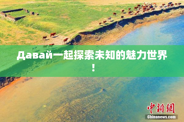 Давай一起探索未知的魅力世界！