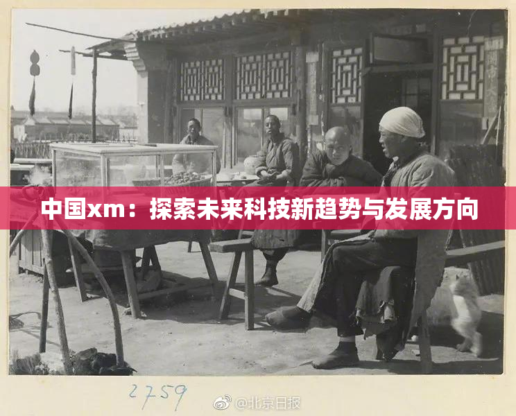 中国xm：探索未来科技新趋势与发展方向