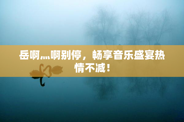 岳啊灬啊别停，畅享音乐盛宴热情不减！