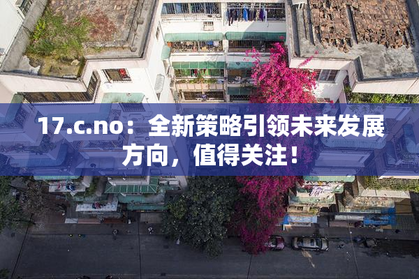 17.c.no：全新策略引领未来发展方向，值得关注！