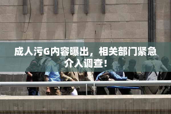 成人污G内容曝出，相关部门紧急介入调查！