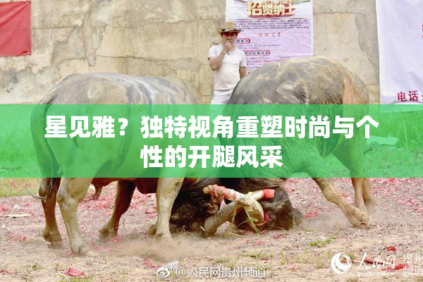 星见雅？独特视角重塑时尚与个性的开腿风采