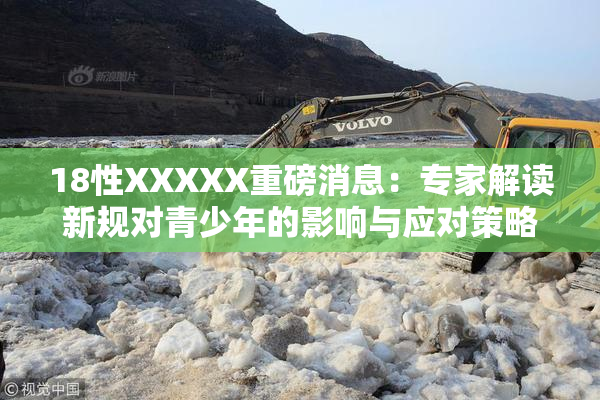 18性XXXXX重磅消息：专家解读新规对青少年的影响与应对策略