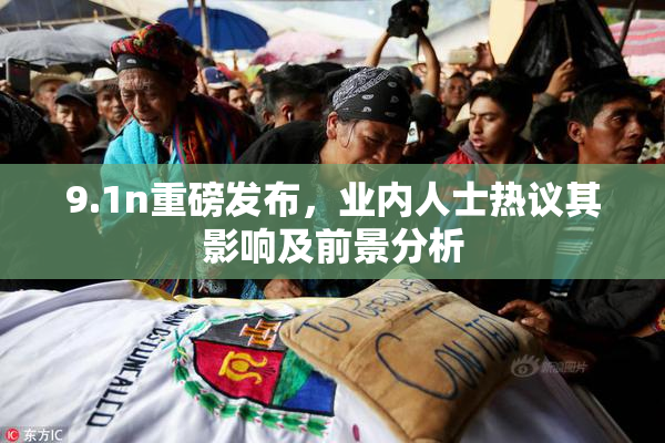9.1n重磅发布，业内人士热议其影响及前景分析