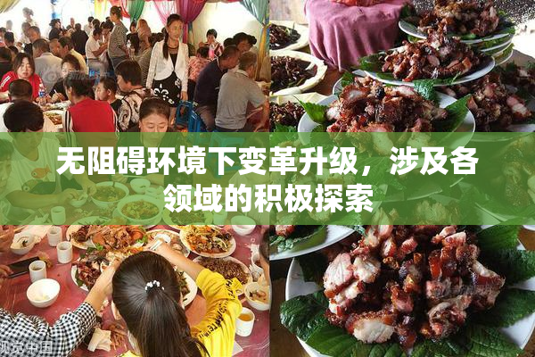 无阻碍环境下变革升级，涉及各领域的积极探索