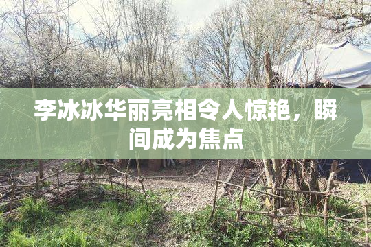 李冰冰华丽亮相令人惊艳，瞬间成为焦点