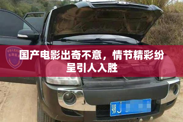 国产电影出奇不意，情节精彩纷呈引人入胜