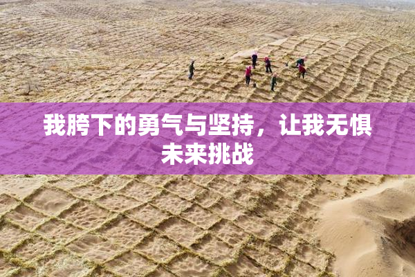 我胯下的勇气与坚持，让我无惧未来挑战