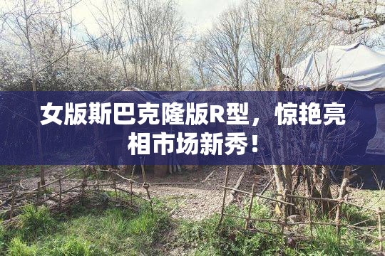 女版斯巴克隆版R型，惊艳亮相市场新秀！