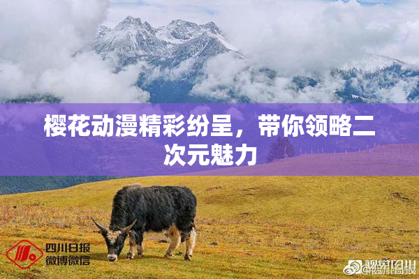 樱花动漫精彩纷呈，带你领略二次元魅力