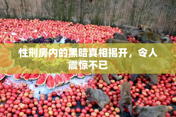 性刑房内的黑暗真相揭开，令人震惊不已