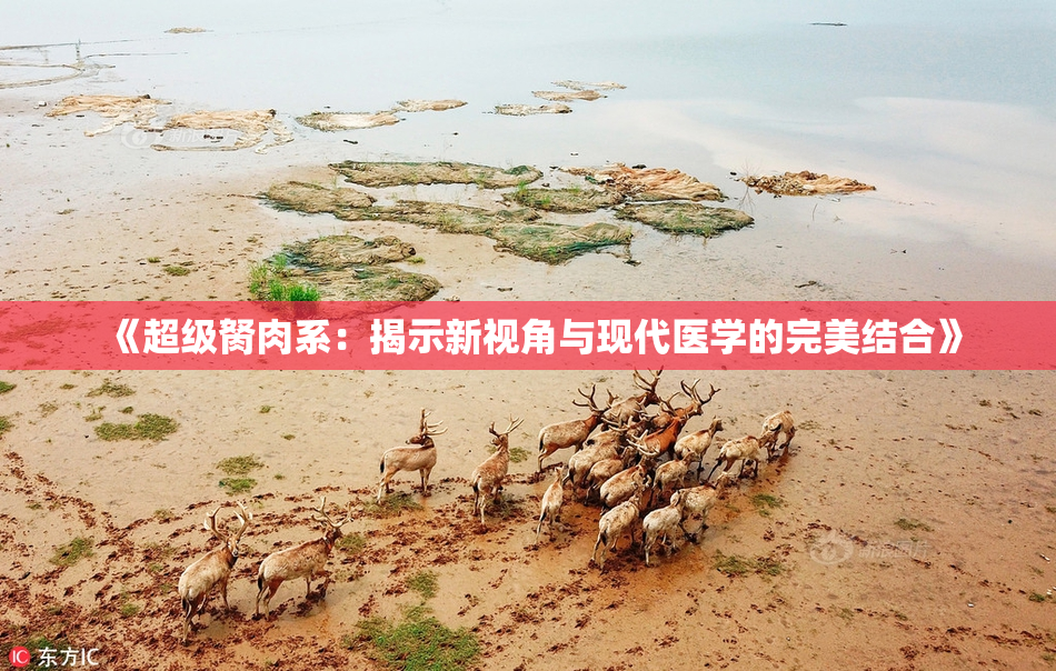 《超级胬肉系：揭示新视角与现代医学的完美结合》