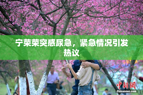 宁荣荣突感尿急，紧急情况引发热议