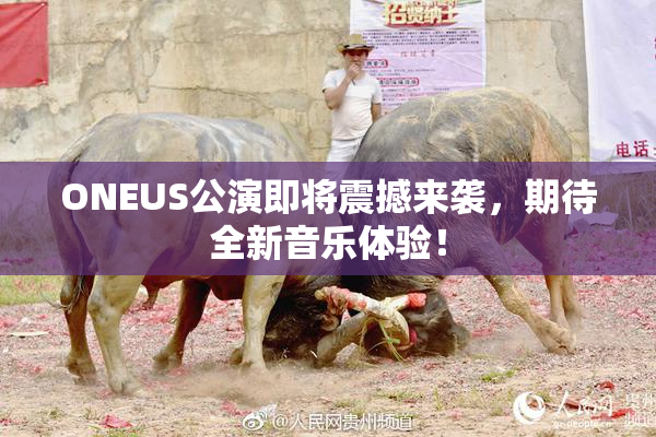 ONEUS公演即将震撼来袭，期待全新音乐体验！