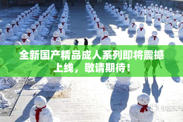 全新国产精品成人系列即将震撼上线，敬请期待！