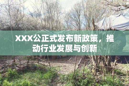 XXX公正式发布新政策，推动行业发展与创新