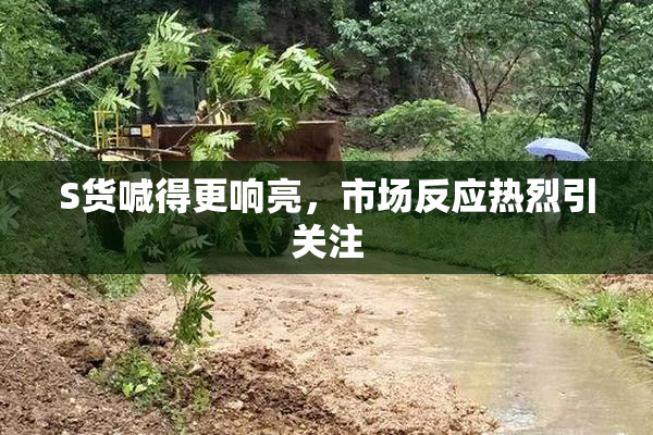 S货喊得更响亮，市场反应热烈引关注