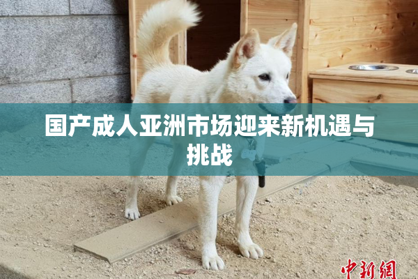 国产成人亚洲市场迎来新机遇与挑战