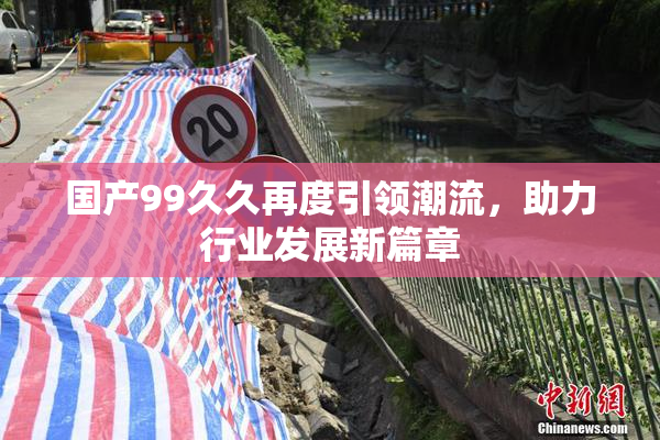 国产99久久再度引领潮流，助力行业发展新篇章