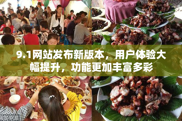 9.1网站发布新版本，用户体验大幅提升，功能更加丰富多彩