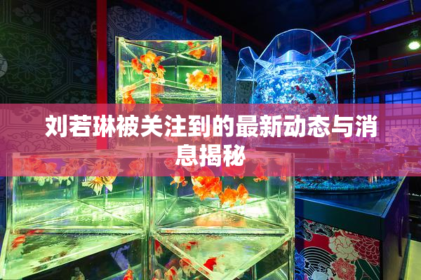 刘若琳被关注到的最新动态与消息揭秘