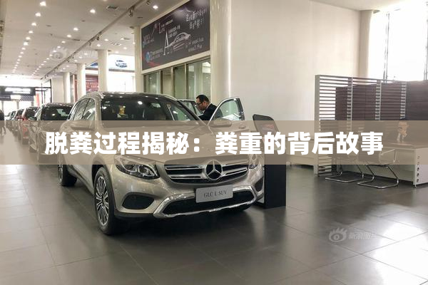 脱粪过程揭秘：粪重的背后故事