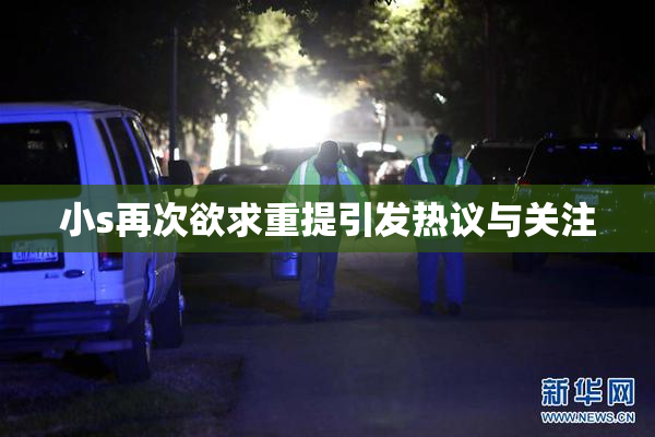 小s再次欲求重提引发热议与关注
