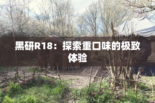 黑研R18：探索重口味的极致体验