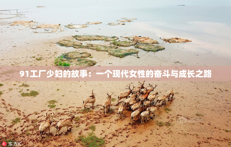 91工厂少妇的故事：一个现代女性的奋斗与成长之路