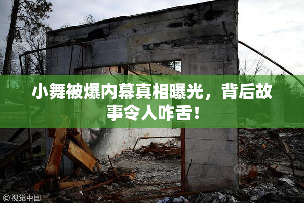 小舞被爆内幕真相曝光，背后故事令人咋舌！